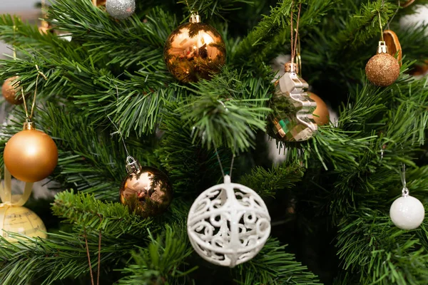 Vánoční stromečky — Stock fotografie