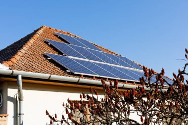 Yenilenebilir Enerji