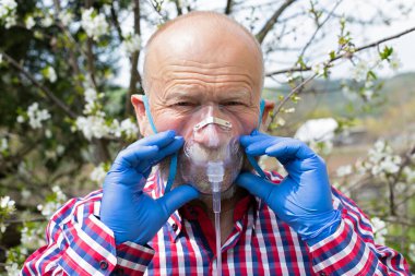 Oksijen maskesi takan yaşlı bir adamın portresi çiçek açan elma ağacının önünde duruyor.