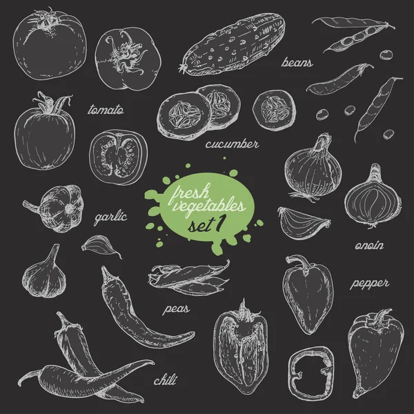 Elkülönített zöldség vázlat stílusú halmaza. Paprika, paradicsom, uborka, paprika, hagyma, fokhagyma, borsó és bab — Stock Vector
