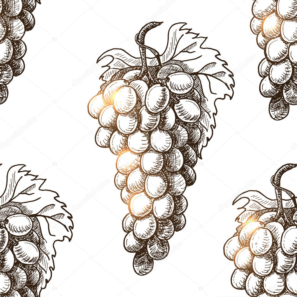 Seamless pattern with grapes