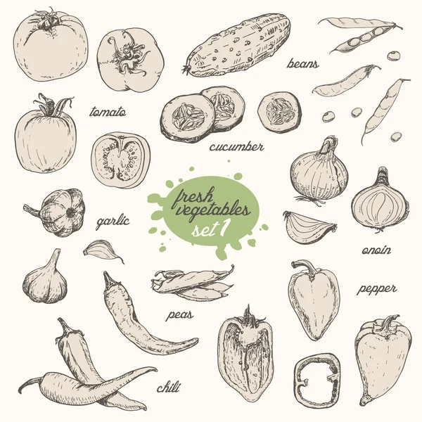 Набор изолированных овощей в стиле эскиза. Перец, помидор, огурец, перец, лук, чеснок, горох и фасоль — стоковый вектор