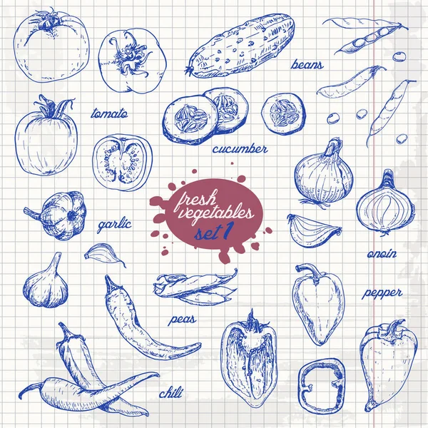 Conjunto de verduras aisladas en un estilo de boceto sobre papel. Pimienta, tomate, pepino, pimientos, cebollas, ajo, guisantes y frijoles — Archivo Imágenes Vectoriales