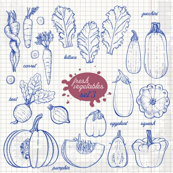 Conjunto de verduras aisladas en un estilo de boceto sobre papel. Zanahorias, lechuga, calabacín, berenjena, calabaza, remolacha, calabaza — Vector de stock