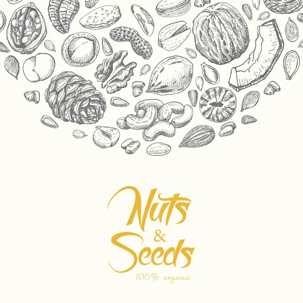 Vektorové pozadí s ořechy a semena — Stockový vektor