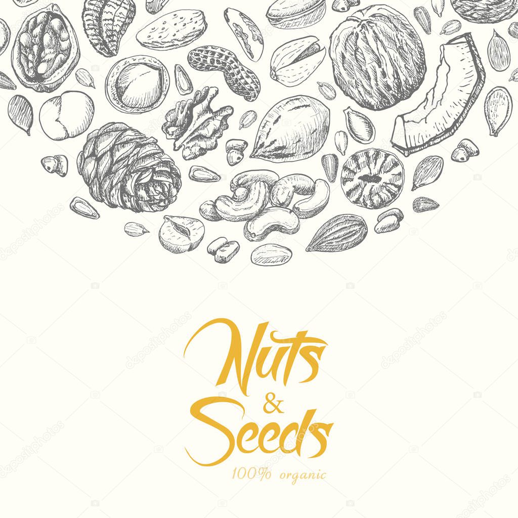 Vector background with nuts and seeds