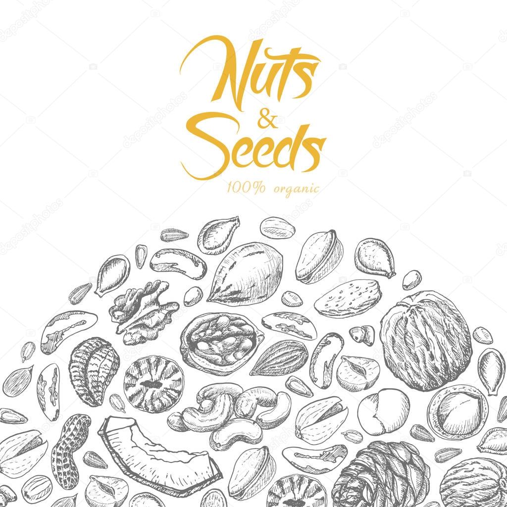 Vector background with nuts and seeds