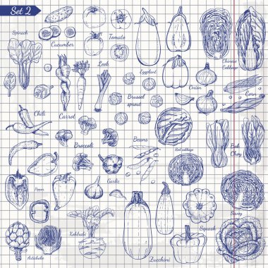 Büyük kroki tarzı sebze kümesi