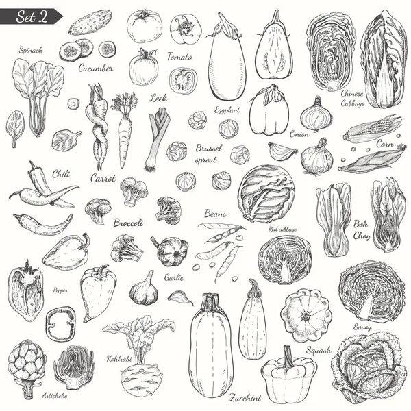 Grand ensemble de légumes dans le style croquis — Image vectorielle