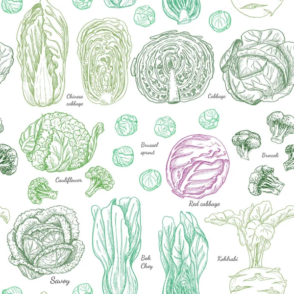 Seamless pattern with different cabbages — Stock Vector
