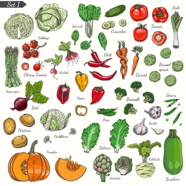 Gran conjunto de verduras de color en estilo de boceto — Vector de stock