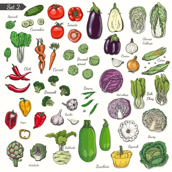 Gran conjunto de verduras de color en estilo de boceto — Archivo Imágenes Vectoriales