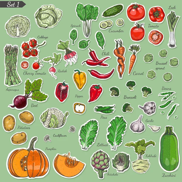 Μεγάλη σειρά από έγχρωμη ετικέτα λαχανικά — Διανυσματικό Αρχείο