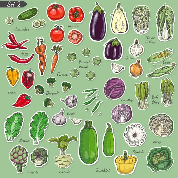 Stor uppsättning färgade etikett grönsaker — Stock vektor