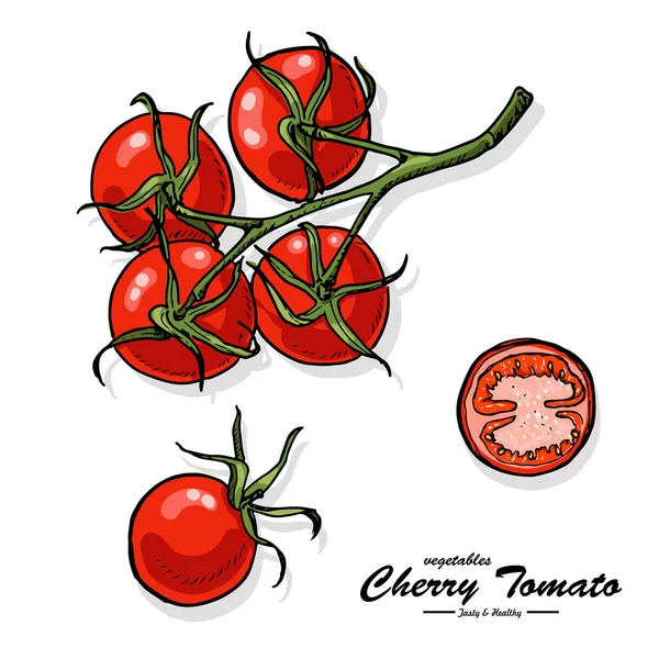 Tomate cereja colorido no estilo esboço — Vetor de Stock
