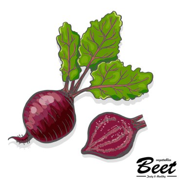 Kroki tarzı renkli pancar