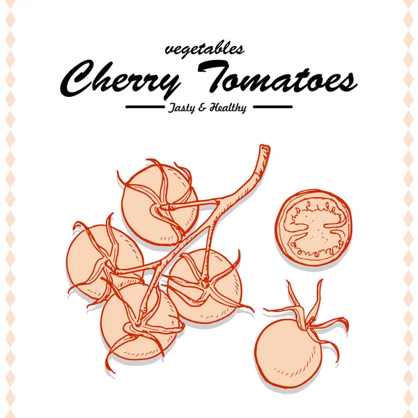 Χέρι σχέδιο εικονογράφηση μιας ντομάτας κερασιών — Διανυσματικό Αρχείο