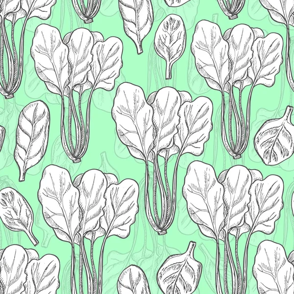 Seamless pattern with spinach — Stock Vector