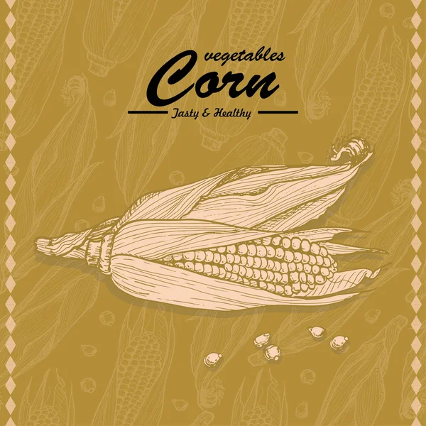 Dibujo a mano ilustración de un maíz — Vector de stock