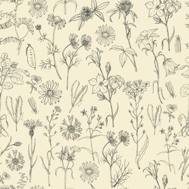 Alan çiçek ve otlar ile Seamless Modeli