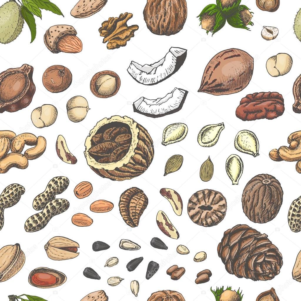 Seamless pattern with colored nuts and seeds