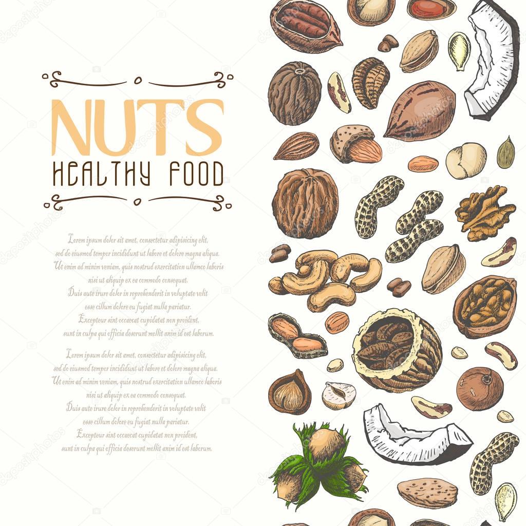 Vertical seamless background with colored nuts and seeds