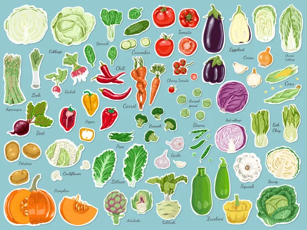 Grand ensemble de légumes d'étiquette colorée — Image vectorielle