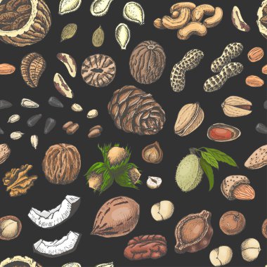 Renkli deli ve tohum ile Seamless Modeli