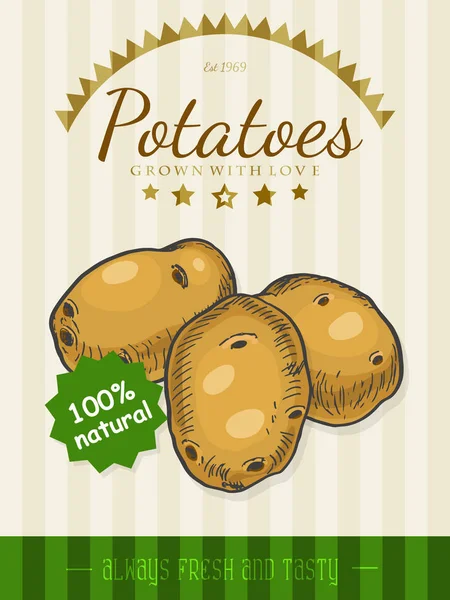 Vector poster with a potatoes in a sketch style — Stock Vector