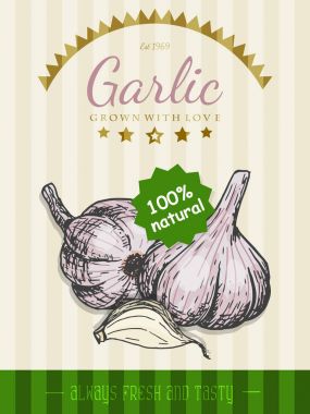 Vektör poster bir kroki tarzı bir sarımsak ile