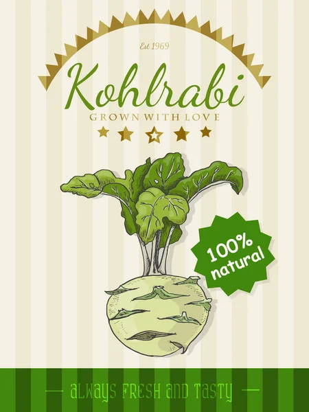 Vector poster with a kohlrabi in a sketch style — Stock Vector