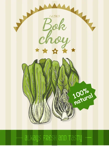 Vector poster with a bok choy in a sketch style — Stock Vector