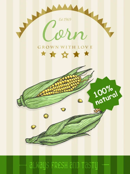 Cartel vectorial con un maíz en un estilo de boceto — Vector de stock