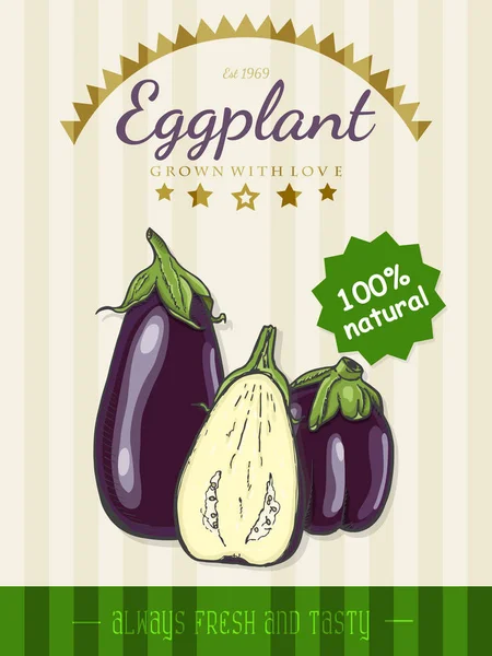 Vector poster met een aubergine in de stijl van een schets — Stockvector