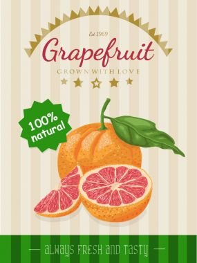 Bir greyfurt vektör poster
