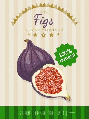 Vektör poster bir incir ile