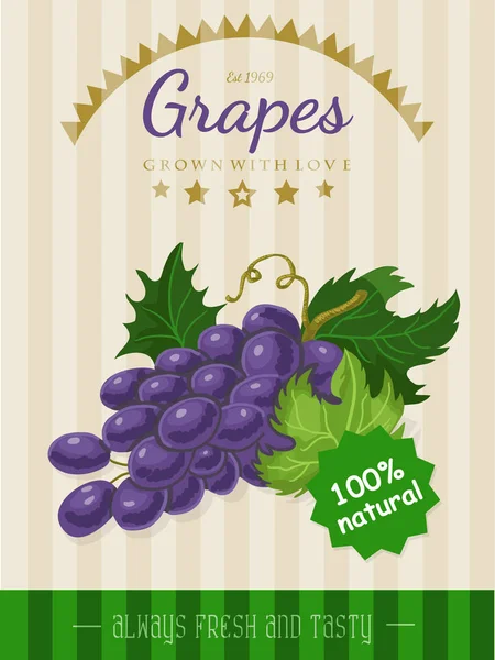 Cartel vectorial con uvas — Vector de stock