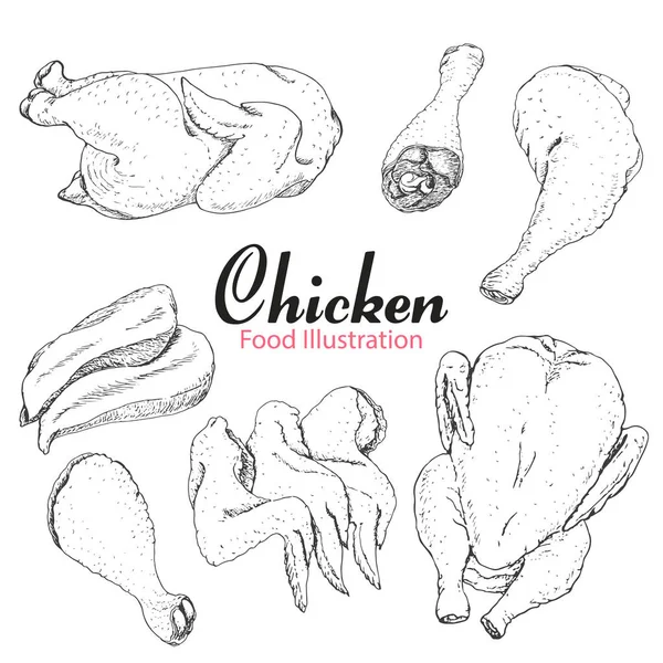 Set hand getrokken kip geïsoleerd op witte achtergrond — Stockfoto