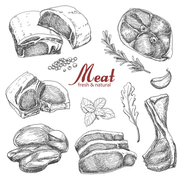 Set hand getrokken vlees geïsoleerd op witte achtergrond — Stockvector
