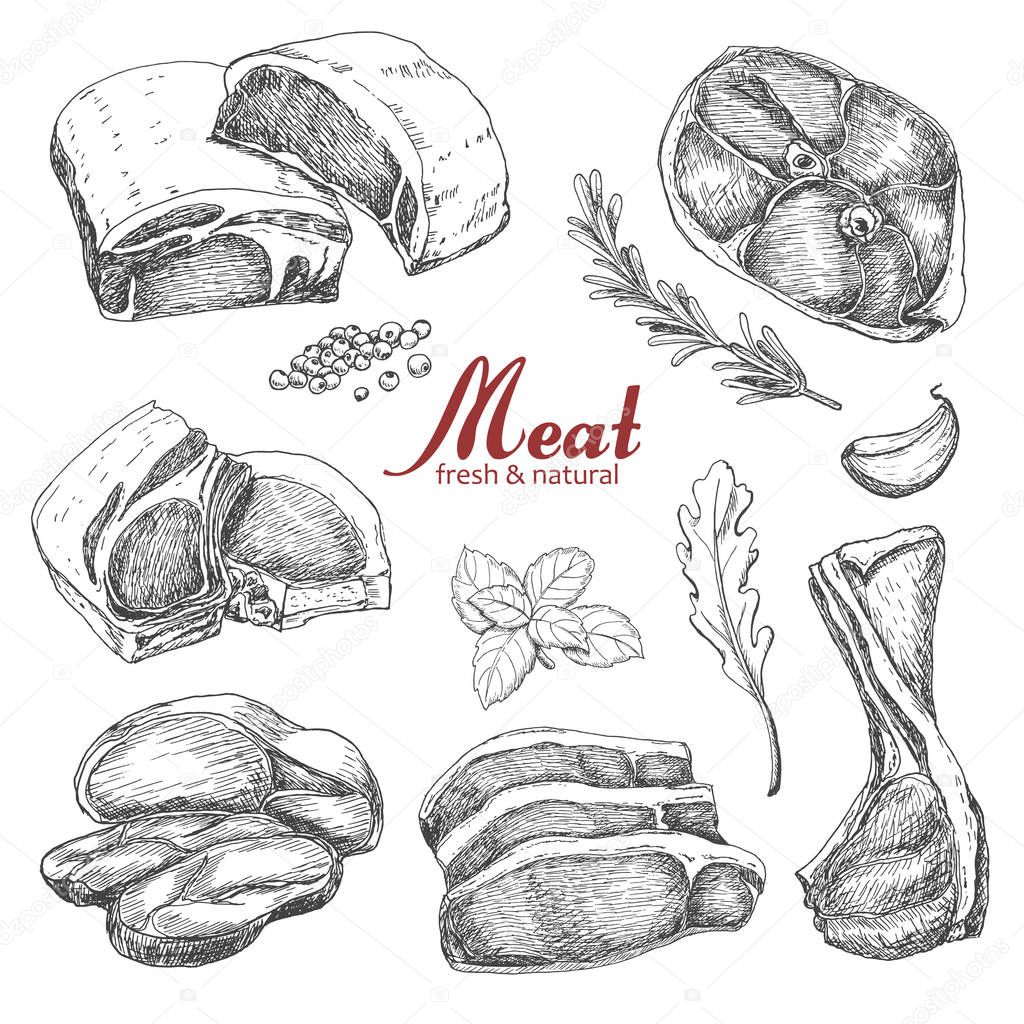 Set of hand drawn meat isolated on white background