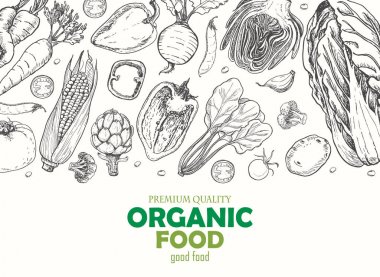 Farklı sebze ile yatay arka plan. Organik gıda