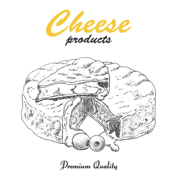 Fondo vectorial con queso — Archivo Imágenes Vectoriales