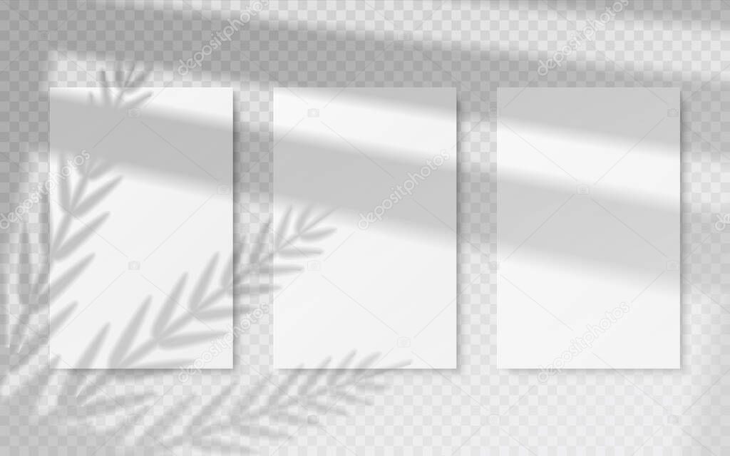 Posters with shadow overlay. White blank banners mockup with vector transparent shadow of tropical leaves and window frame
