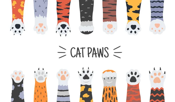 Macskamancs. Kézzel rajzolt vicces kiskutyák és kiscicák karmok és lábak, vadállatok és háziállatok mancsai. Vector firka rajzfilm kutya láb készlet — Stock Vector