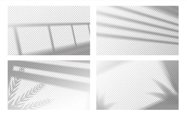 Sombra de ventana realista. Marco de ventana y persianas con hojas tropicales, efecto de luz de ventana. Conjunto de sombra transparente vectorial — Archivo Imágenes Vectoriales