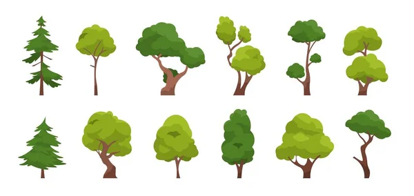 Een tekenfilmboom. Eenvoudige platte bos flora, naaldbomen en loofbomen, eiken dennen kerstboom geïsoleerde planten. Vectorverzameling — Stockvector