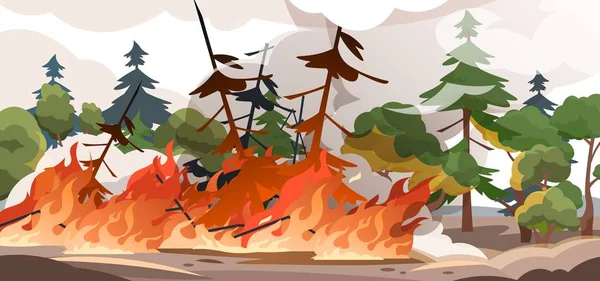Fogo florestal. Queima de abetos e carvalhos, plantas de madeira em chamas e fumaça, ilustração de desenhos animados de desastres naturais. Cartaz vetorial —  Vetores de Stock