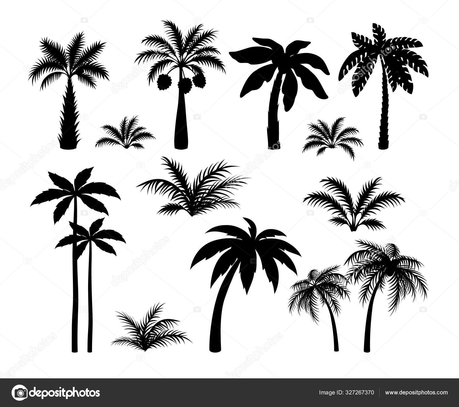 シルエットヤシの木 熱帯黒ジャングルの植物を設定します 黒い葉とココナッツジャングルの木 ストックベクター C Spicytruffel