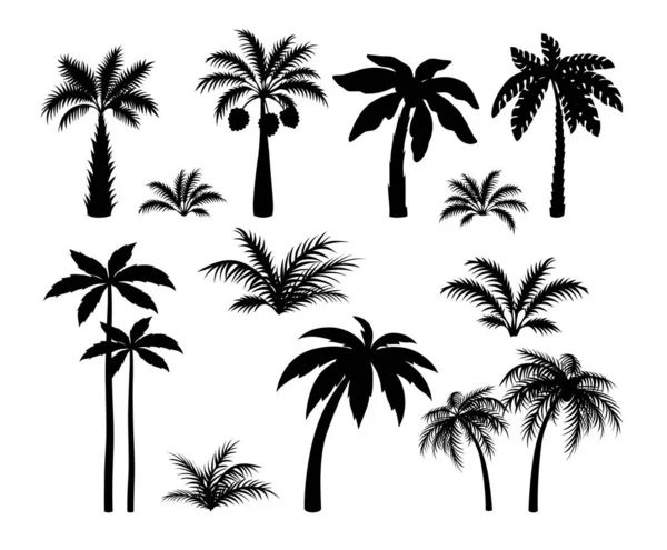 Palmbomen van silhouet. Zet tropische zwarte jungle planten. Zwarte bladeren en kokosnoot jungle boom — Stockvector