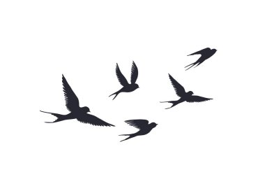 Flying birds silhouette on white background. Vector set of flock of swallows sign. Tattoo spring bird or swift birds clipart